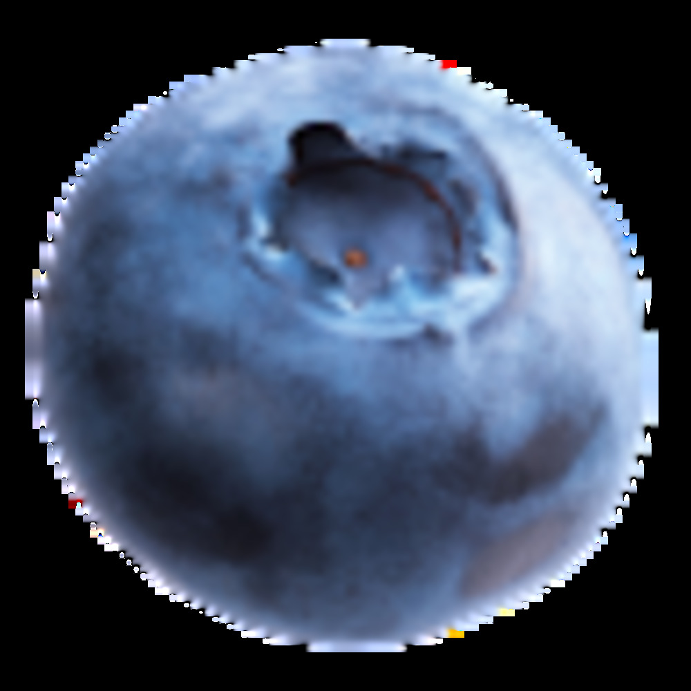 Meet your Posher, Alice